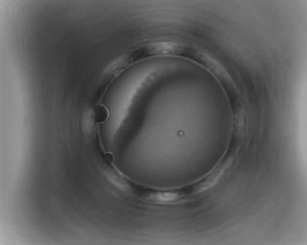 X0000115310361200911091141
