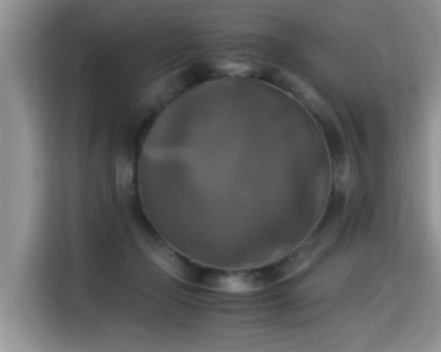 X0000115310365200911091141