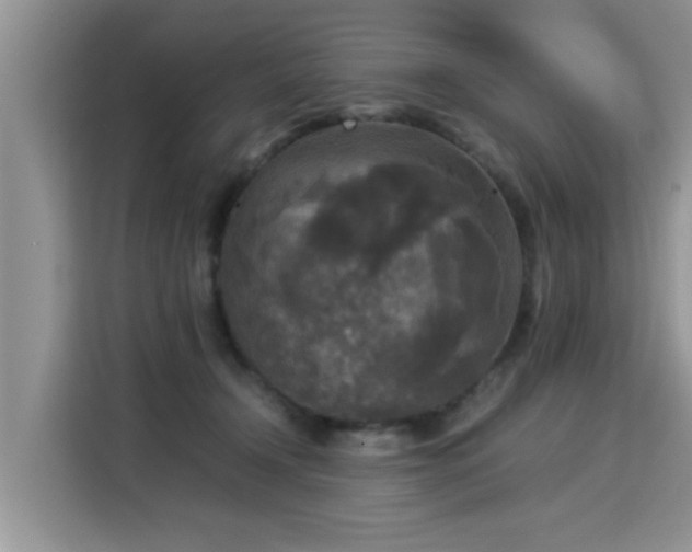 X0000115310366200911091141