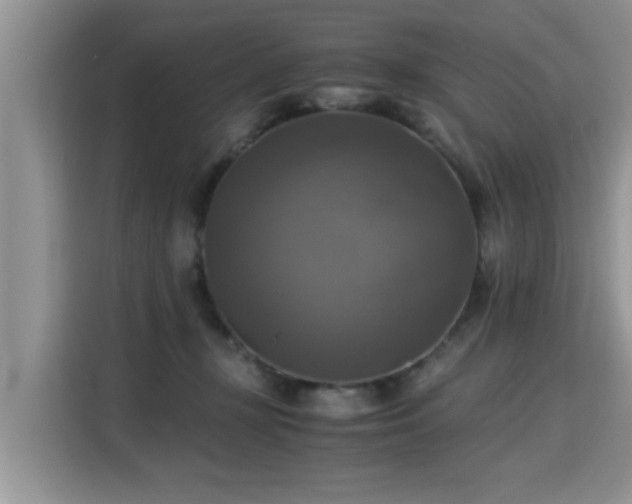 X0000115310367200911091141