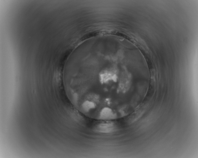 X0000115310369200911091141