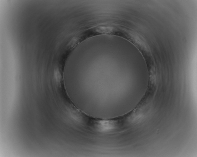 X0000115310371200911091142