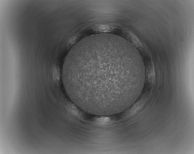 X0000115310374200911091142