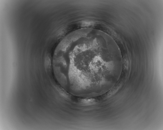 X0000115310375200911091142