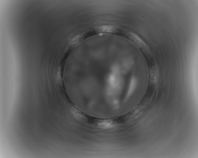 X0000115310377200911091142