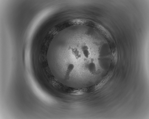X0000115310381200911091142
