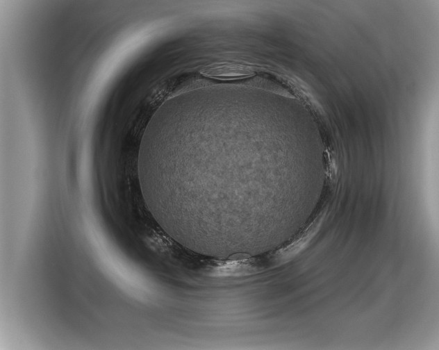 X0000115310382200911091142