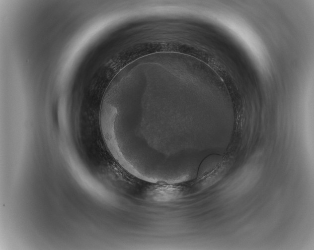 X0000115310383200911091142