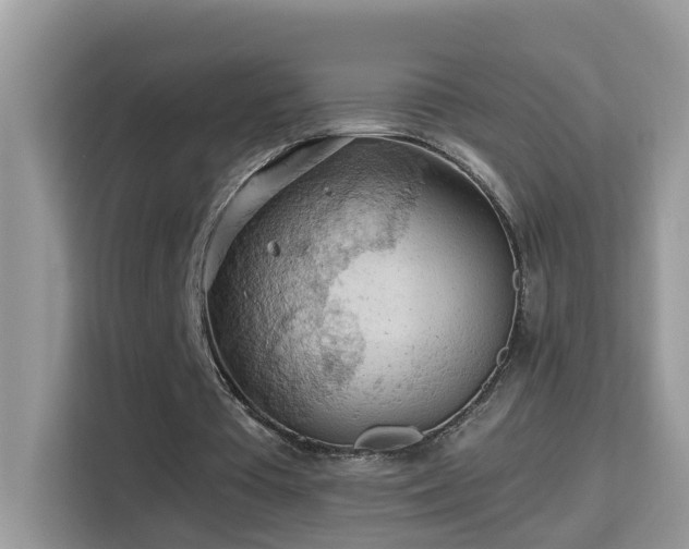 X0000115310385200911091141