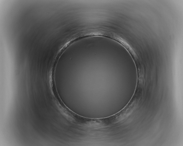X0000115310386200911091141