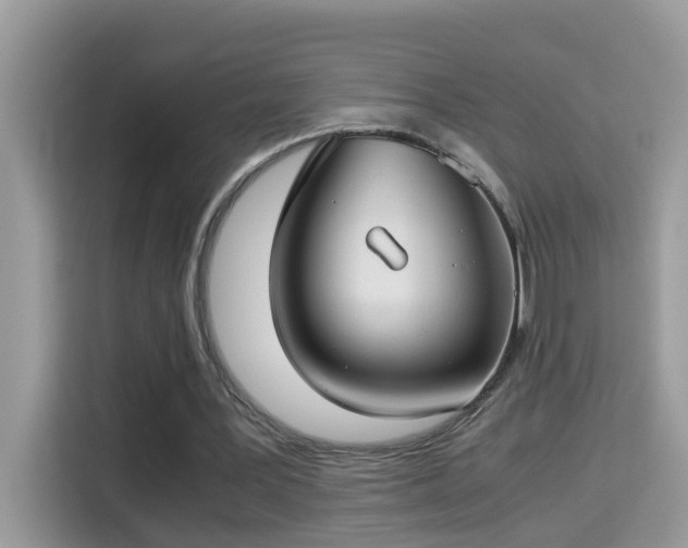 X0000115310387200911091141