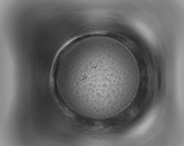 X0000115310388200911091141