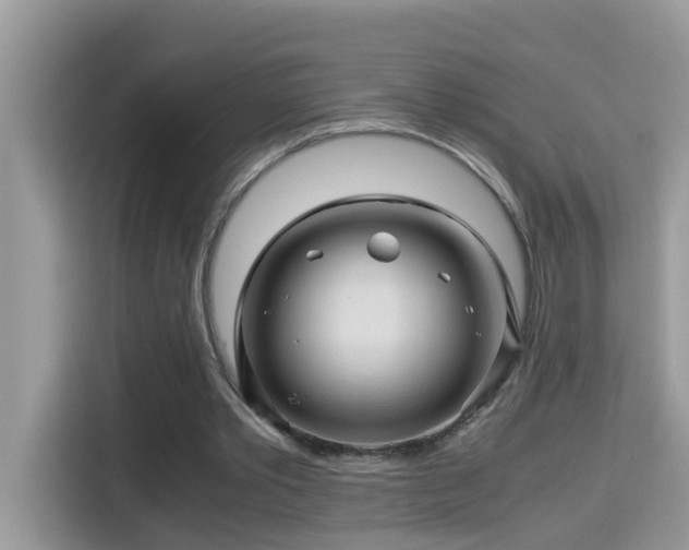X0000115310389200911091141