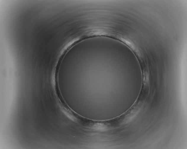 X0000115310390200911091141