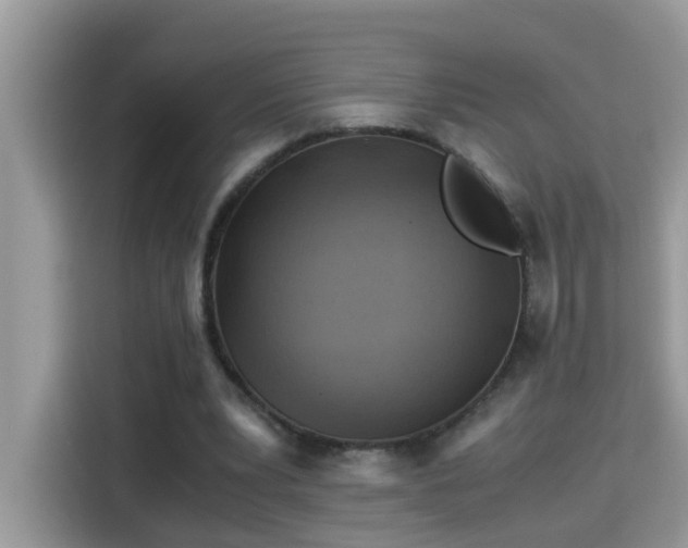 X0000115310391200911091141