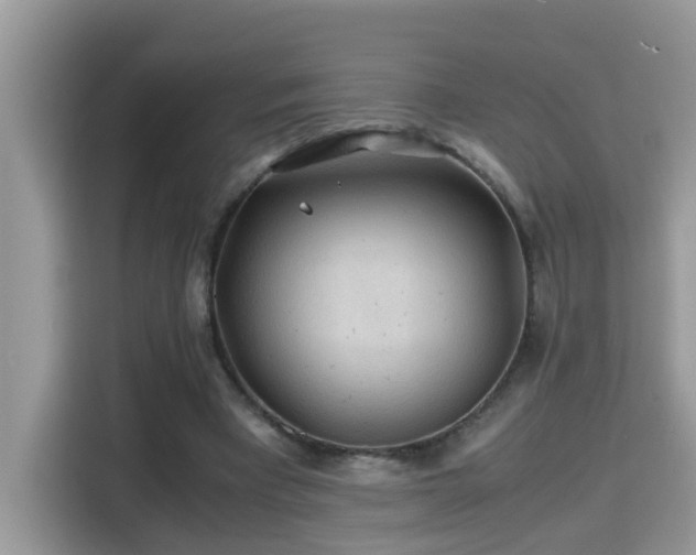 X0000115310393200911091141