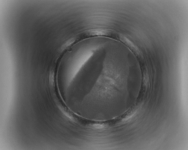 X0000115310394200911091141