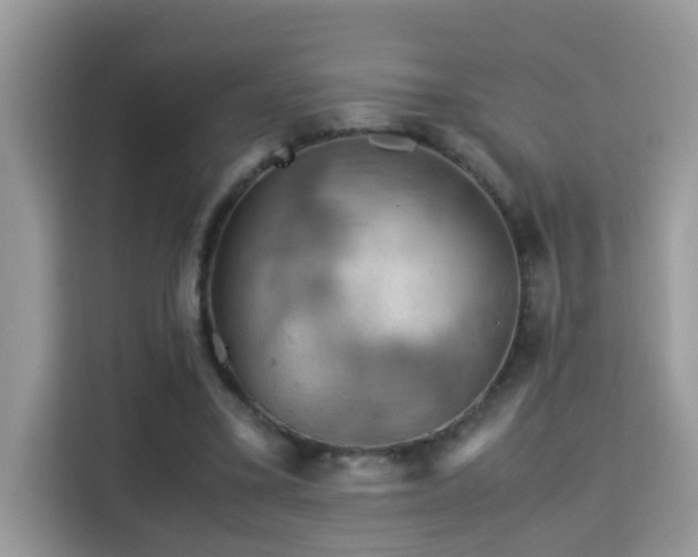 X0000115310395200911091141