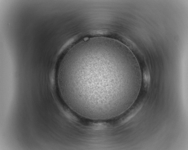 X0000115310396200911091141