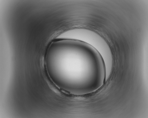 X0000115310397200911091141