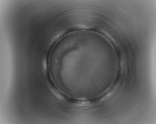 X0000115310398200911091141