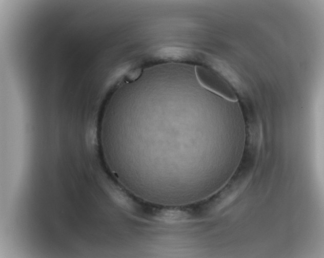 X0000115310399200911091141