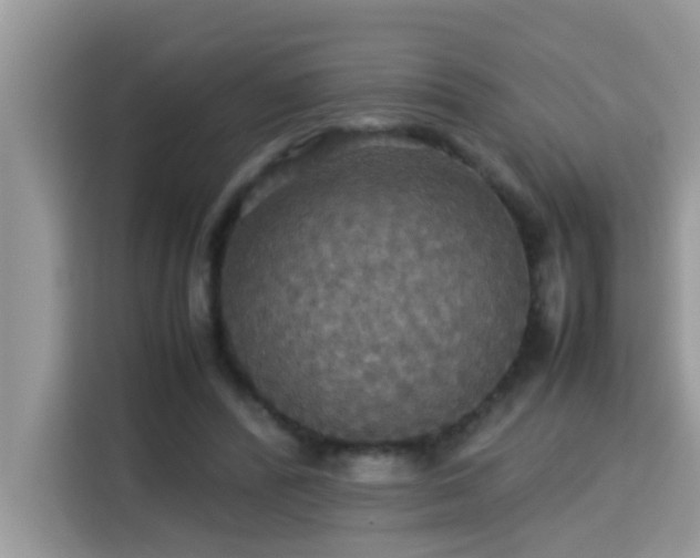 X0000115310400200911091141