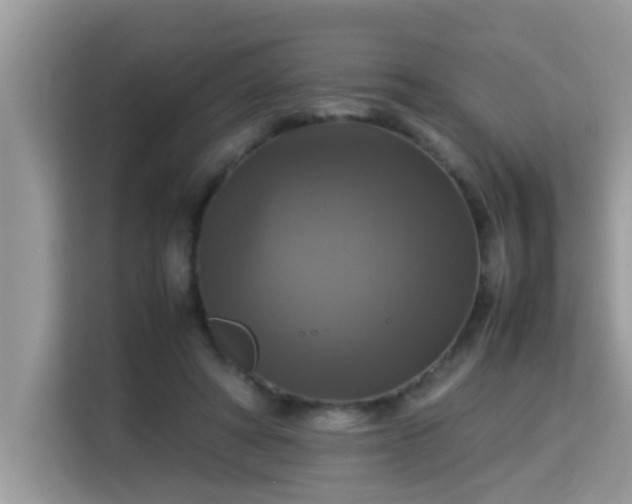 X0000115310402200911091141