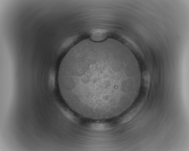 X0000115310404200911091141