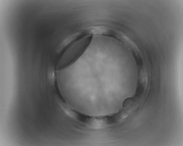 X0000115310405200911091141