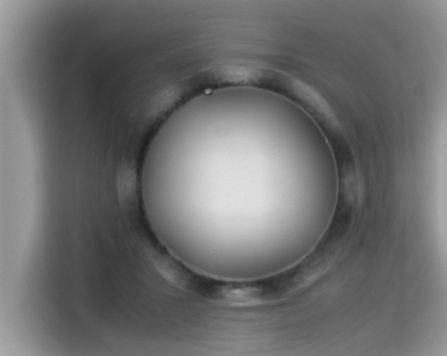 X0000115310407200911091141
