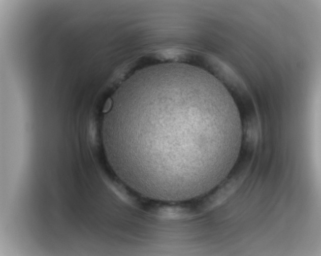 X0000115310408200911091141