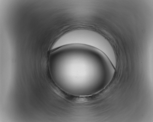 X0000115310409200911091141