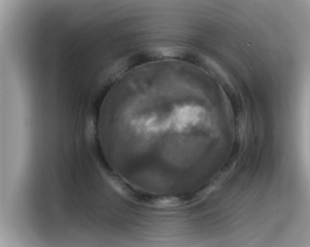 X0000115310410200911091141