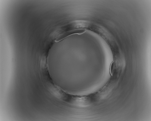 X0000115310411200911091141