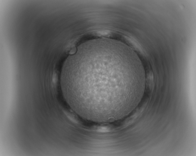 X0000115310412200911091141