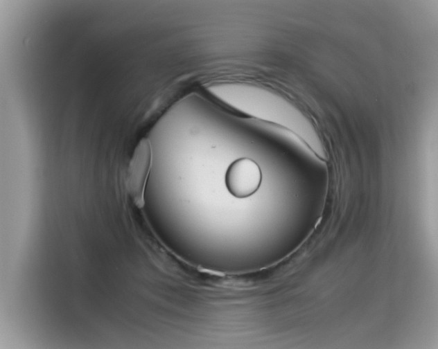 X0000115310413200911091141