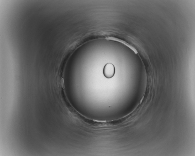 X0000115310415200911091141