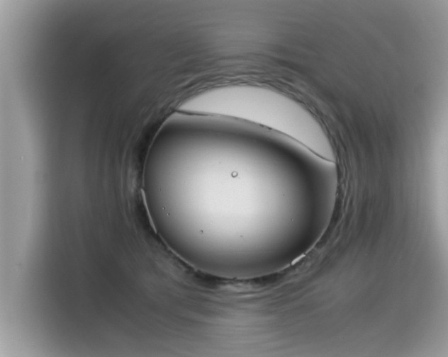 X0000115310417200911091141