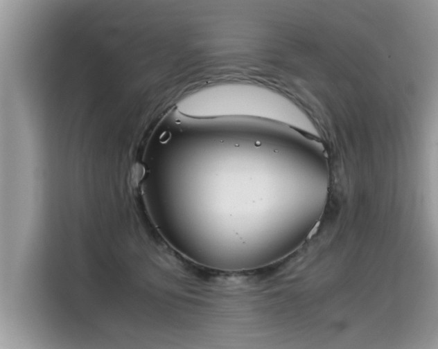 X0000115310419200911091141