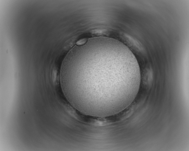 X0000115310420200911091141