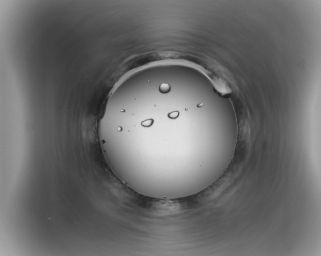 X0000115310421200911091141