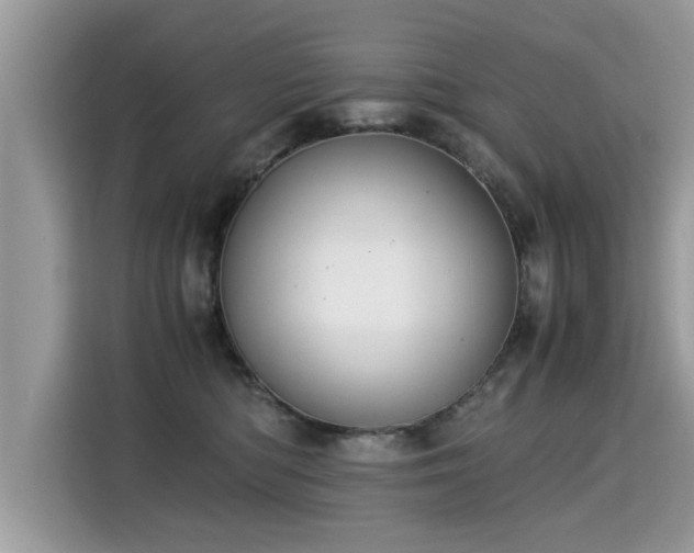 X0000115310422200911091141