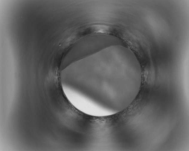 X0000115310423200911091141