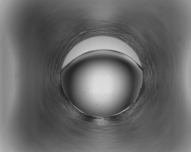 X0000115310425200911091141