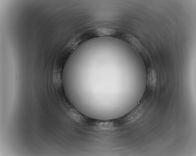 X0000115310426200911091141