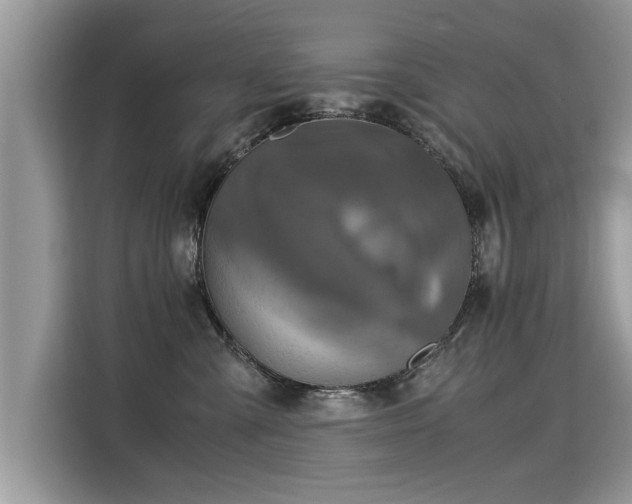 X0000115310427200911091141
