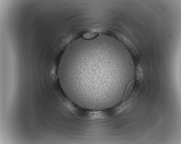 X0000115310428200911091140