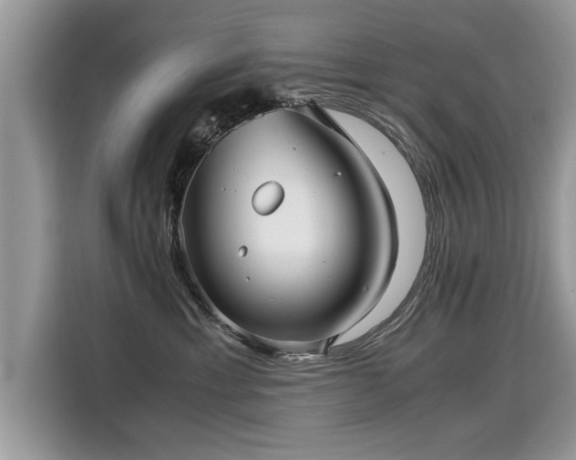 X0000115310429200911091140