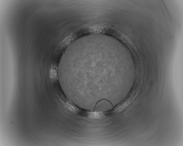 X0000115310432200911091140